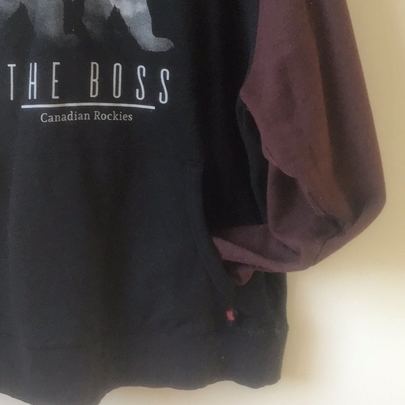 hoodie featuring The Boss on front with Rockies in relief. - Picture 4 of 9